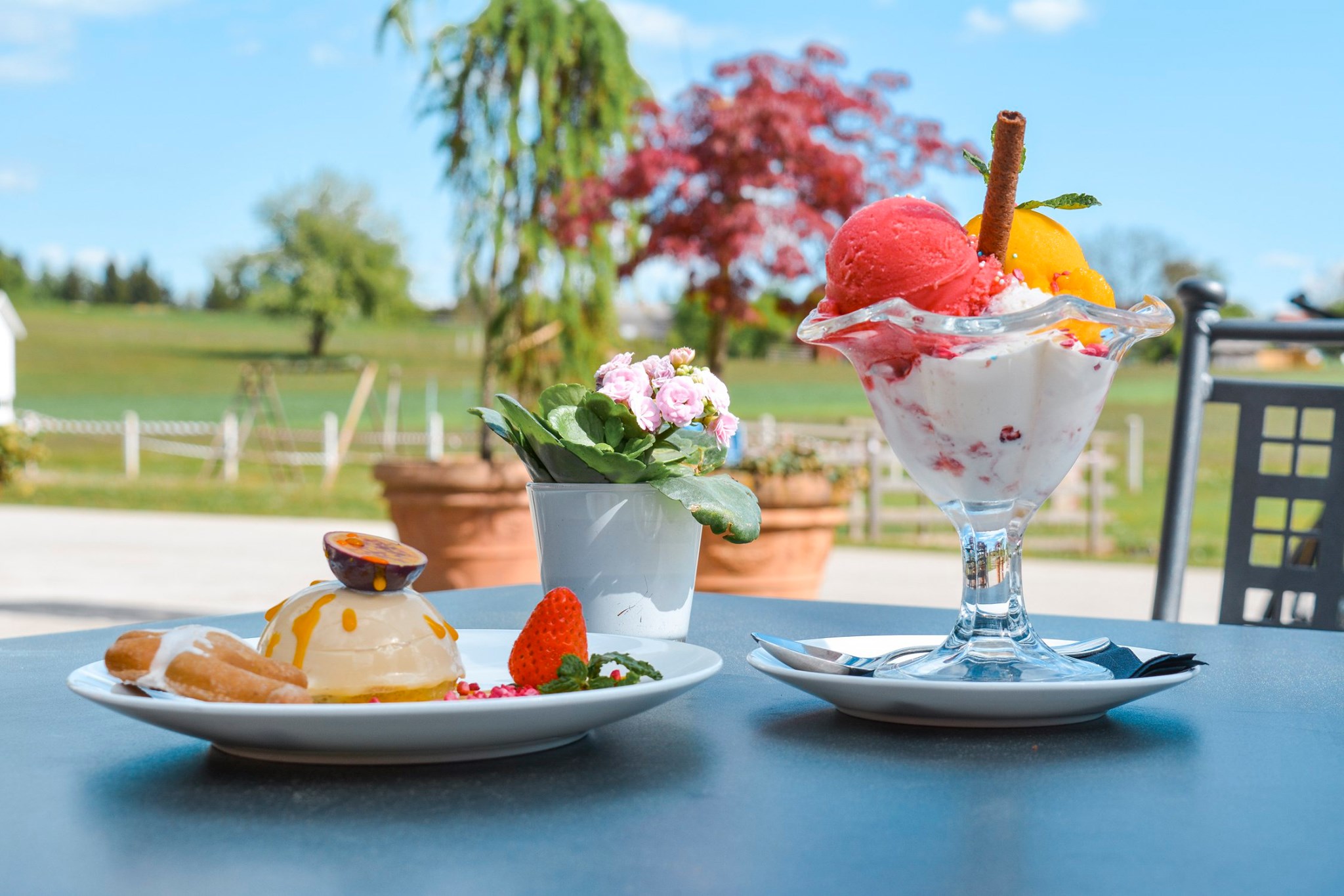 icecream
